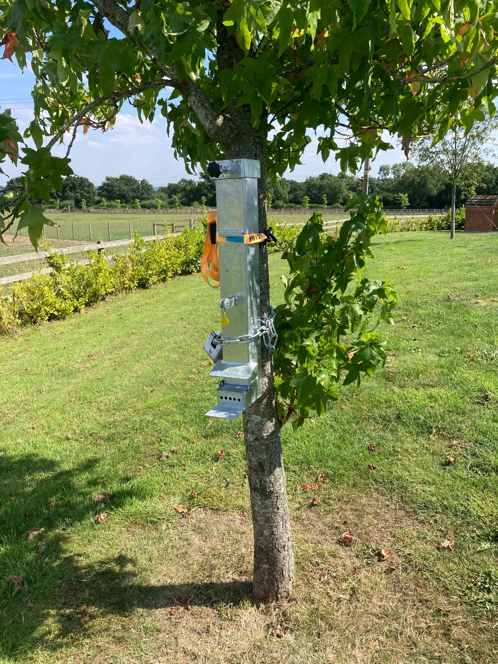 Squirrel Feeder