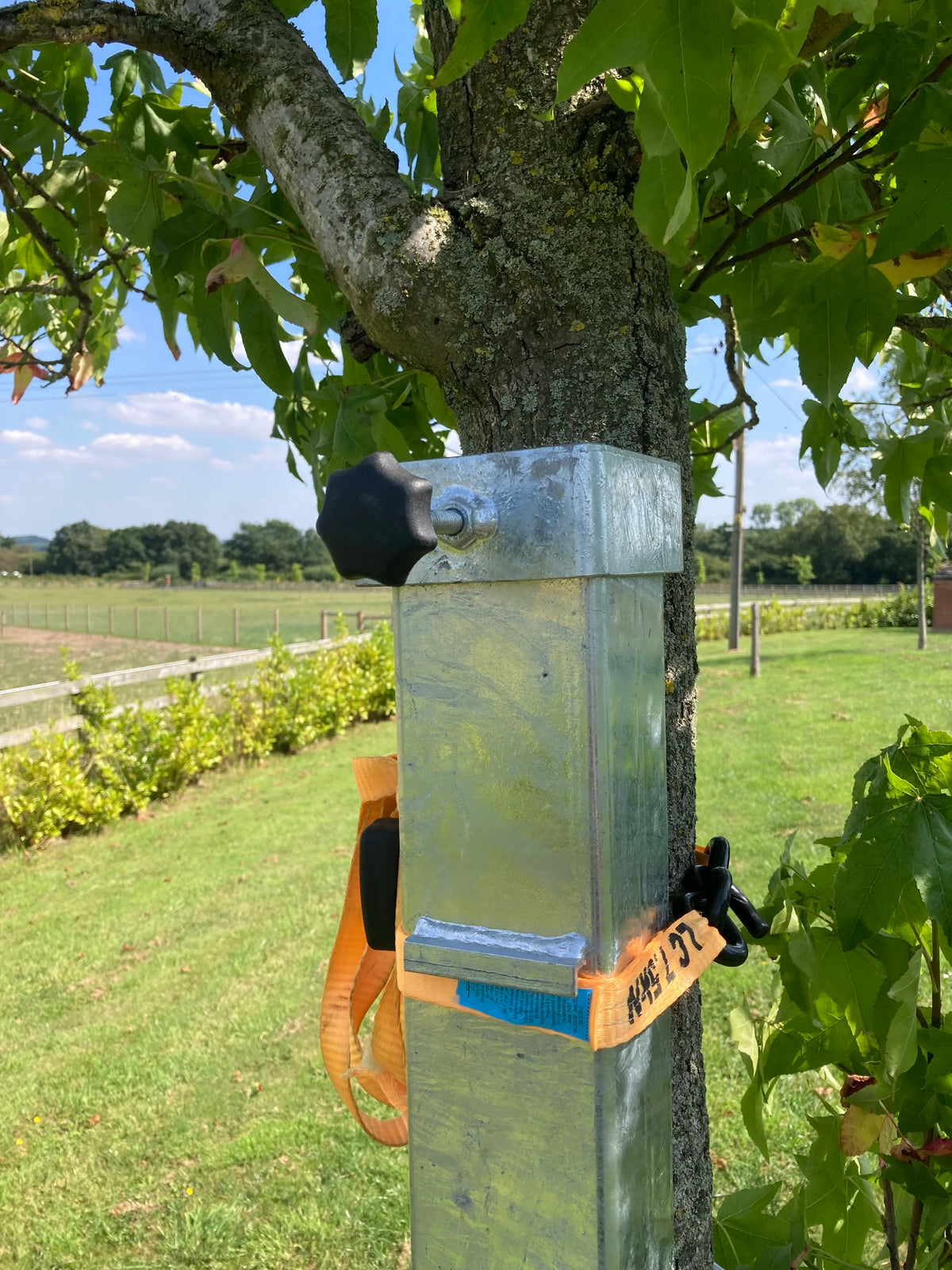 Squirrel Feeder