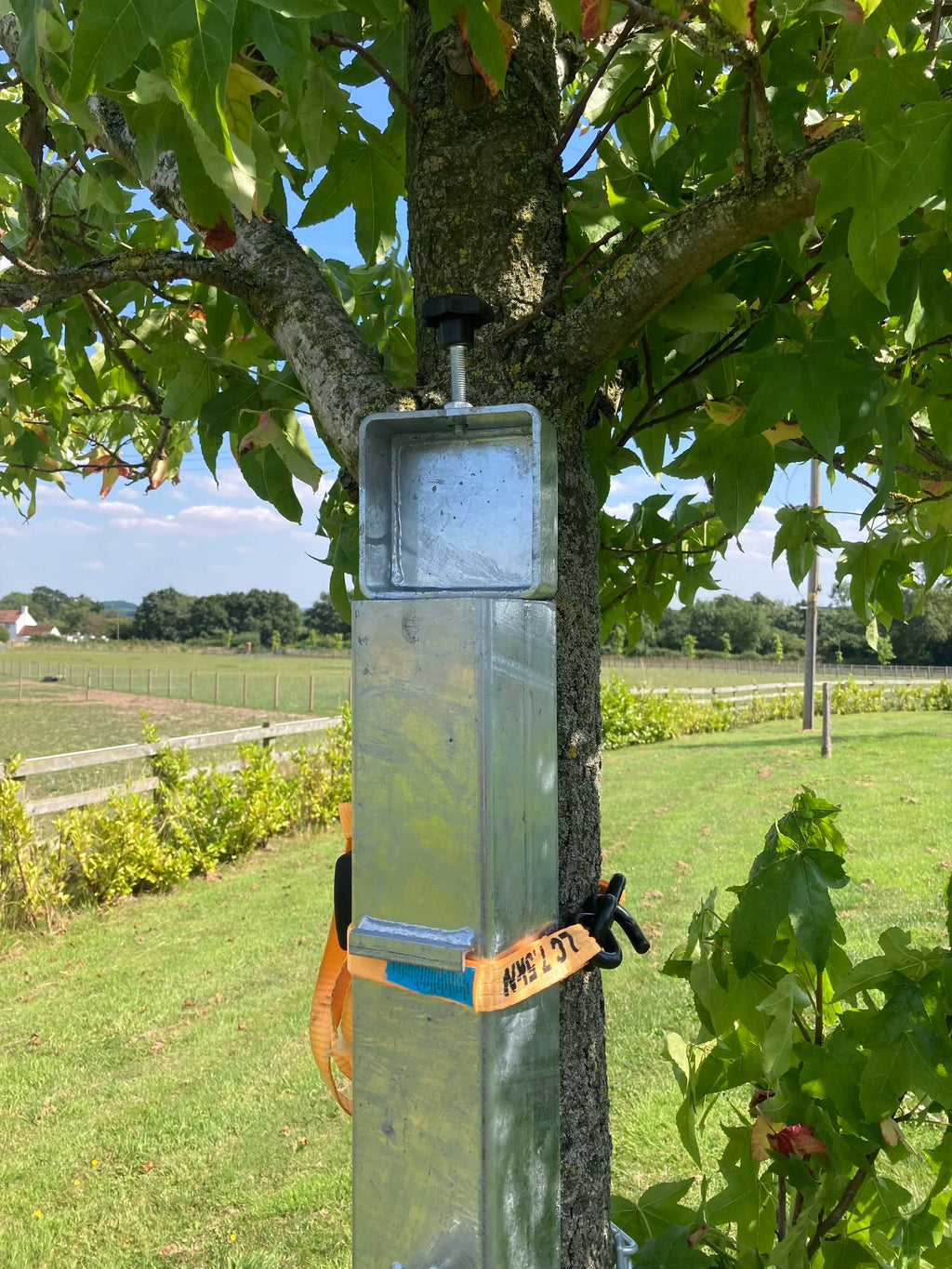 Squirrel Feeder