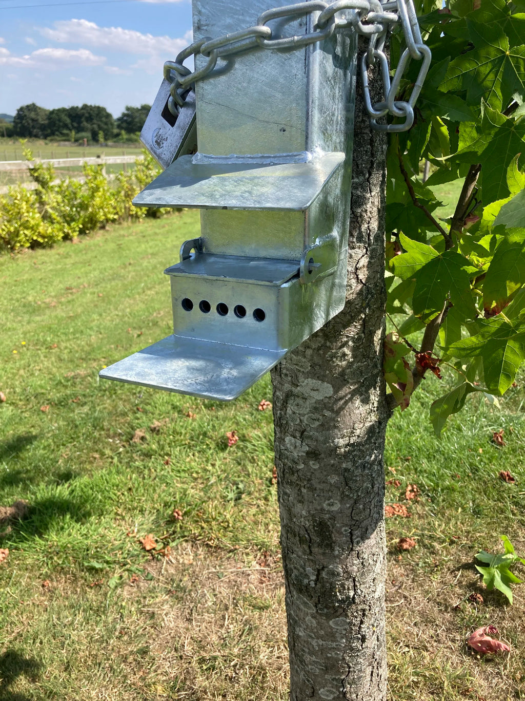 Squirrel Feeder