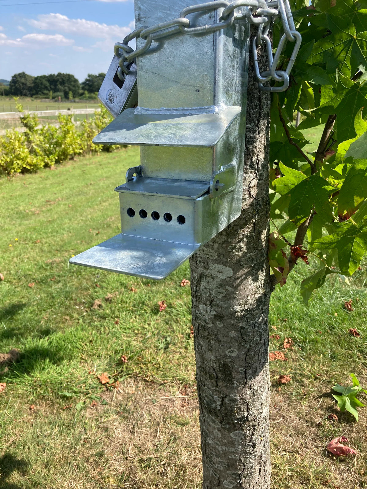 Squirrel Feeder