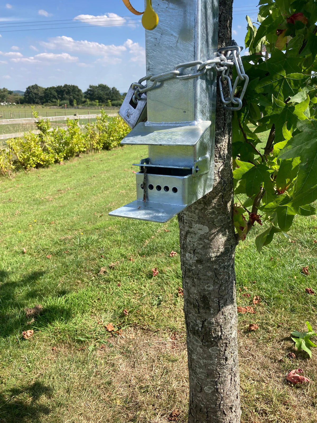 Squirrel Feeder
