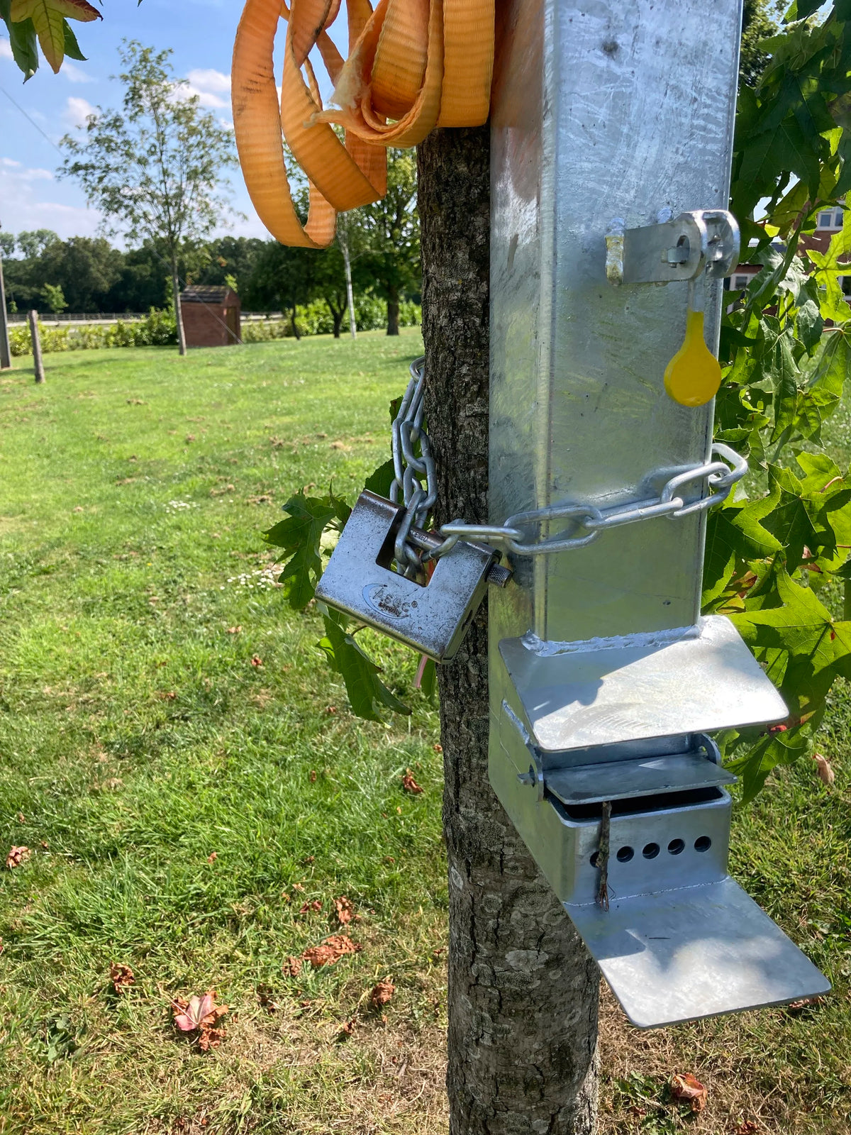 Squirrel Feeder