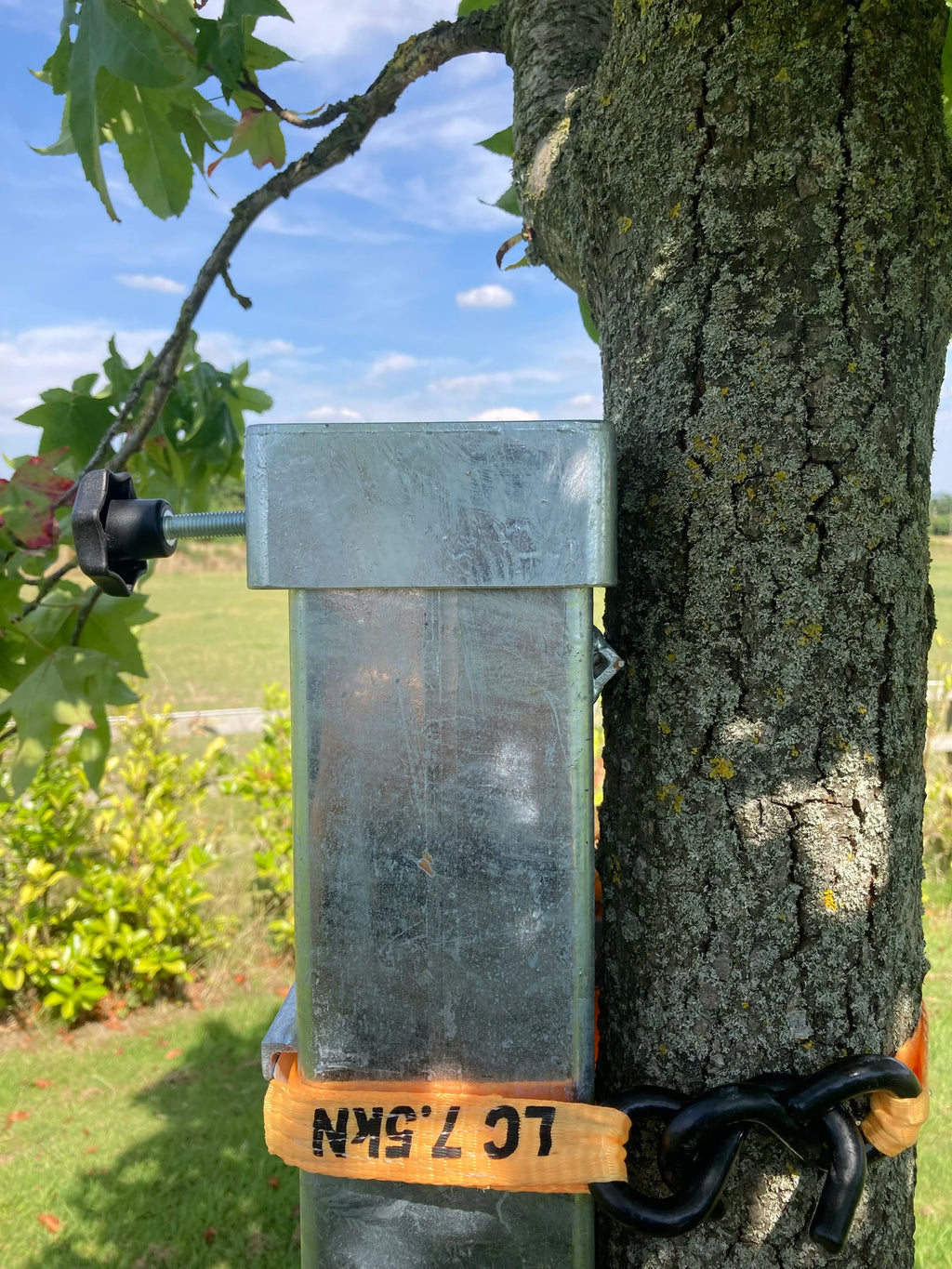 Squirrel Feeder